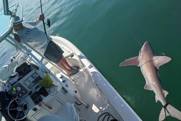 Fort Myers Beach & Naples Fishing Charters — Inshore and Offshore Guided Trips photo 4