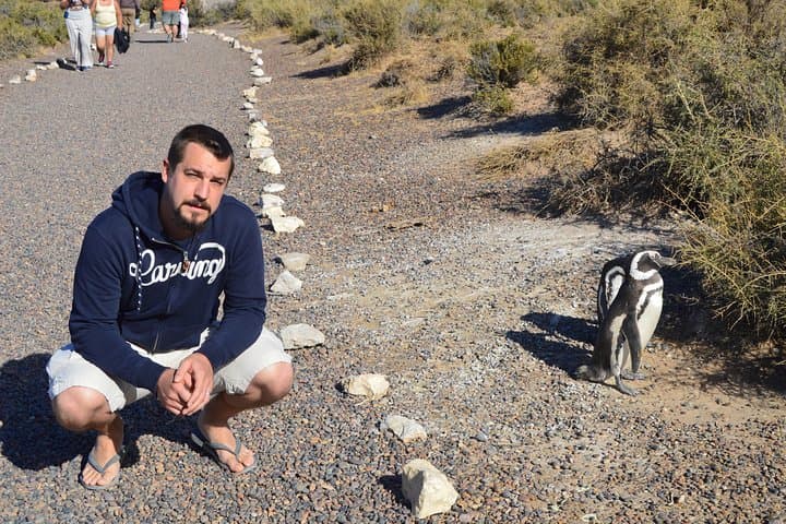 Punta Tombo Penguin Experience: Walk Among Magellanic Penguins photo 4