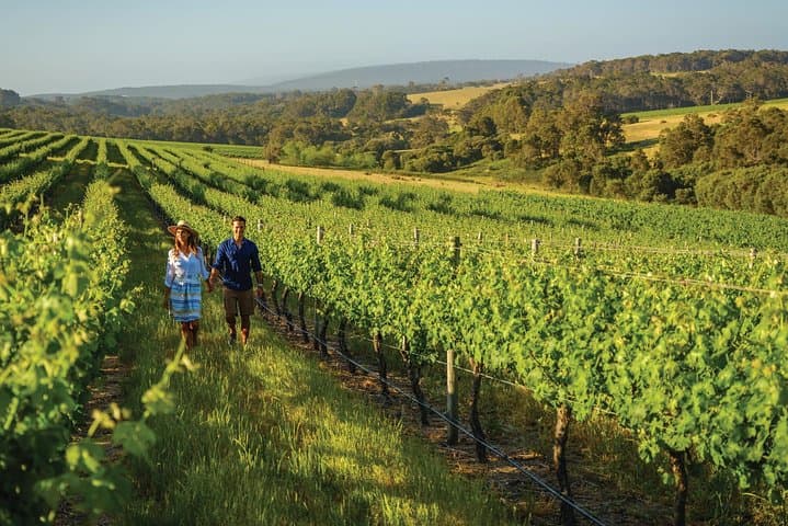 6-Day Perth: Pinnacles, Rottnest & Margaret River All-Inclusive Tour photo 5