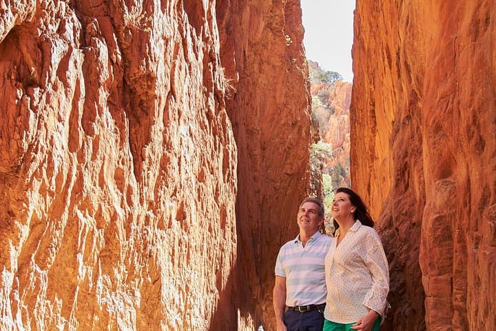 Best of Alice Springs Full-Day Outback Tour: Simpsons Gap, Standley Chasm & More photo 4