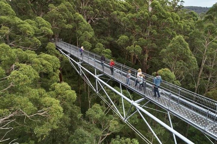 6-Day Perth: Pinnacles, Rottnest & Margaret River All-Inclusive Tour photo 6