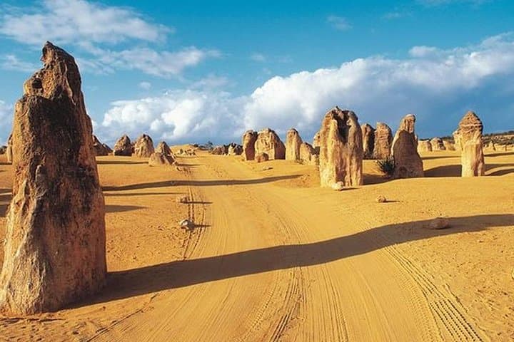 6-Day Perth: Pinnacles, Rottnest & Margaret River All-Inclusive Tour