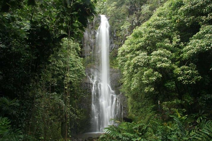 Experience Maui’s Road to Hana in a Polaris Slingshot: Freedom, Thrills, and Hidden Gems photo 5