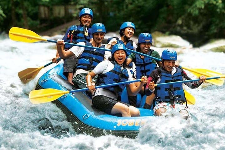 Ubud Ayung River Rafting and Monkey Forest Tour — Class 2–3 Rapids through Jungle Gorge photo 3
