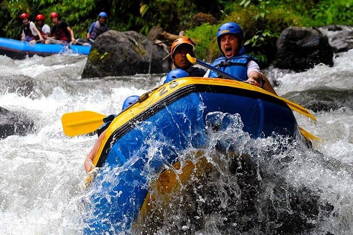 Ubud Ayung River Rafting and Monkey Forest Tour — Class 2–3 Rapids through Jungle Gorge photo 4