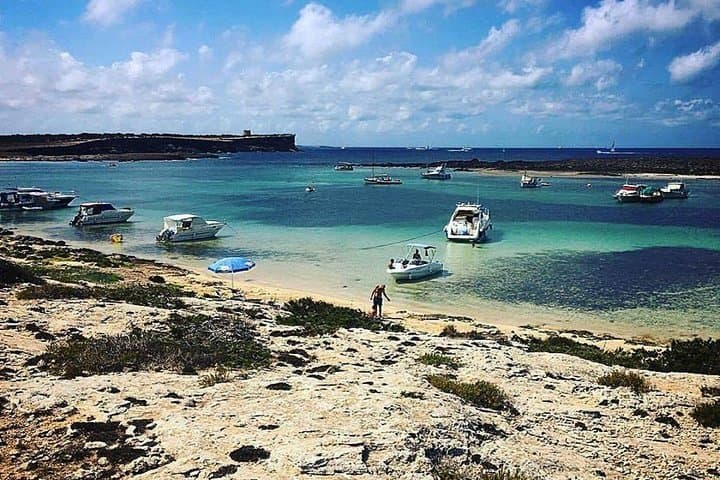 Day sail to Formentera: Espalmador & Illetes — paddle, snorkel & sunset from Ibiza photo 6