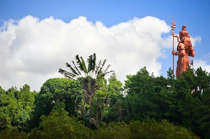 Authentic South Mauritius Tour: Chamarel, Trou aux Cerfs & Black River Highlights photo 5
