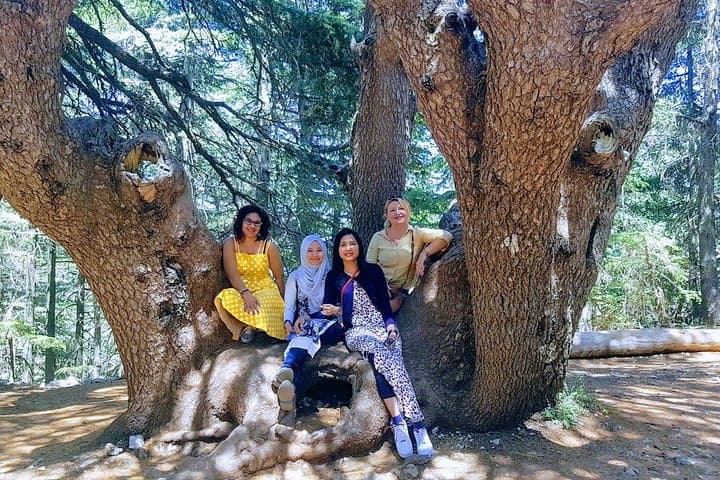 Beirut to Baalbek, Cedars & Kozhaya Day Tour — Roman Temples, Ancient Cedars, Qadisha Valley photo 6