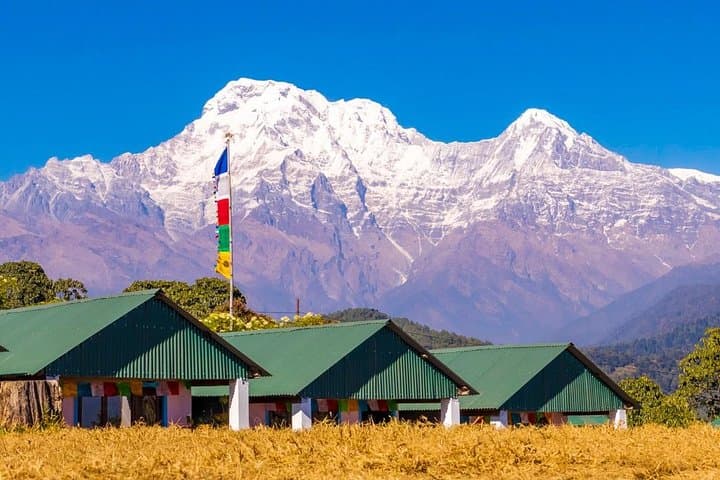 Australian Camp & Dhampus Trek: 3-Day Sunrise Views Above Pokhara photo 3