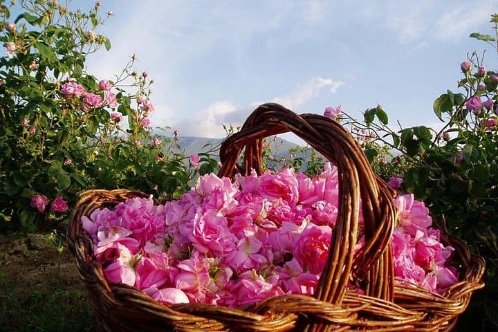 Roses Valley and Mgoun Trek: 6-Day High Atlas Trek from Marrakech photo 2