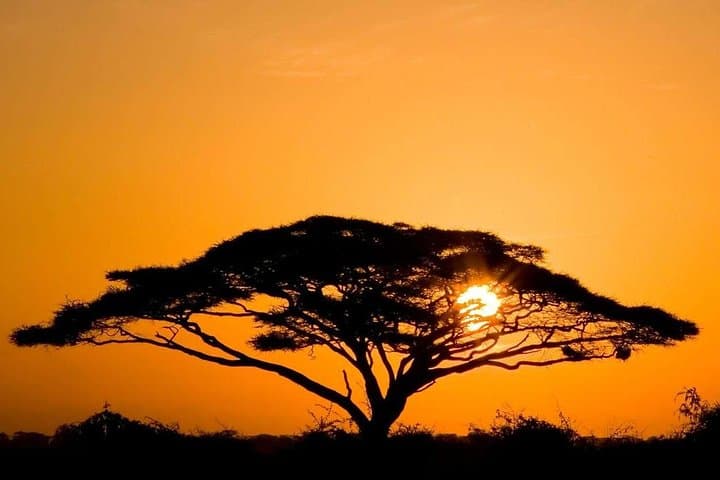 3-Day Amboseli Safari from Nairobi — Elephants, Kilimanjaro Views & Full-Board Game Drives