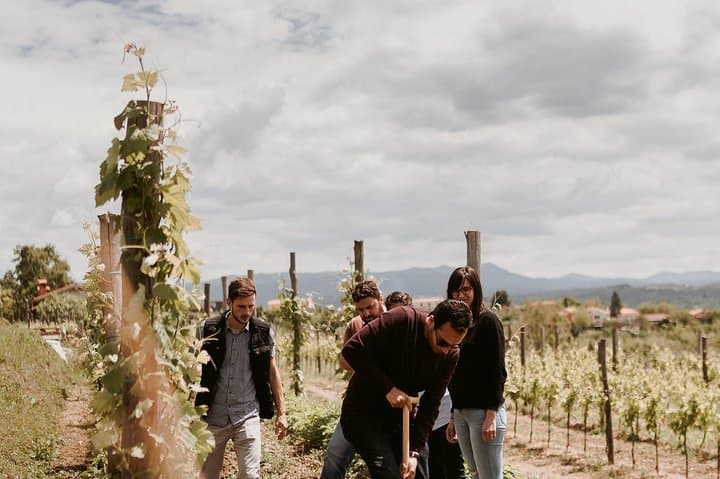 Vipava Valley Wine Tour from Ljubljana: Vineyard Walks & Family Tastings photo 2
