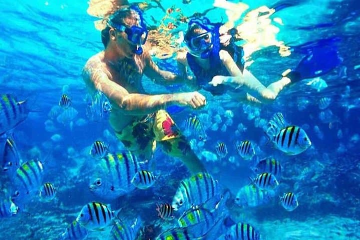 Hurghada Sea Wolf Semi-Submarine & Snorkel: A 3-Hour Red Sea Introduction photo 2