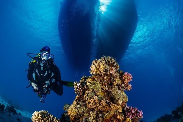 Hurghada Sea Wolf Semi-Submarine & Snorkel: A 3-Hour Red Sea Introduction photo 3