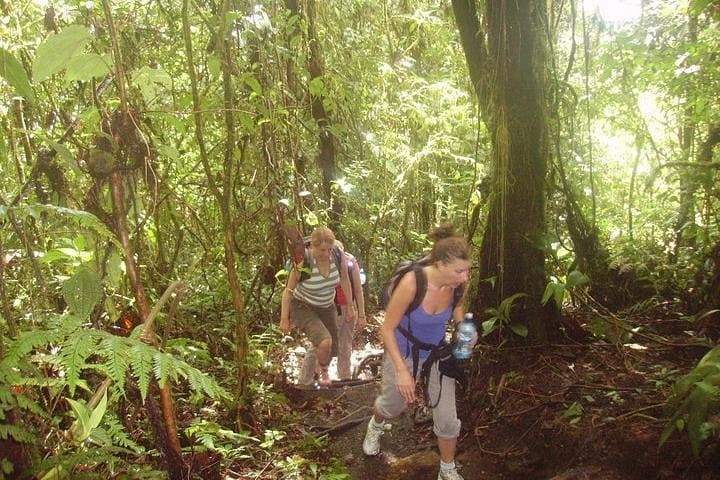 Full-Day Extreme Hike Around Arenal Volcano: La Fortuna Waterfall, Cerro Chato & Hot Springs photo 6