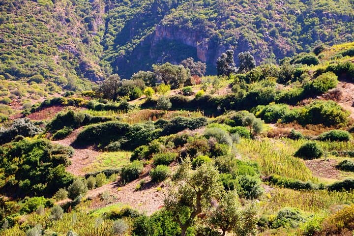 Tangier to Marrakech — 8-Day Private Tour of Imperial Cities, Atlas Passes & the Sahara photo 2
