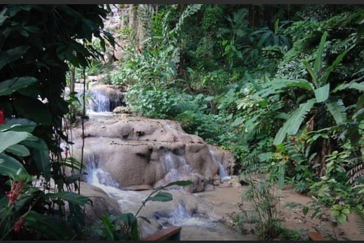 Natural Mystic: Konoko Falls Botanical Garden & Ocho Rios Sightseeing photo 1