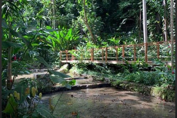 Natural Mystic: Konoko Falls Botanical Garden & Ocho Rios Sightseeing photo 3
