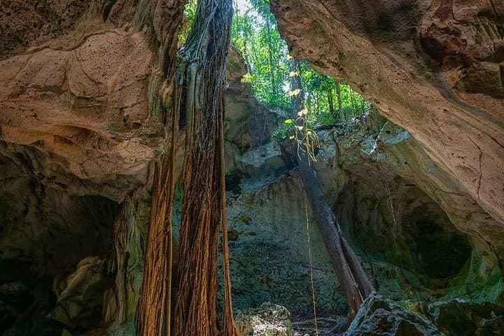Green Grotto Caves and Martha Brae Bamboo Rafting: Private Day Tour from Montego Bay photo 3