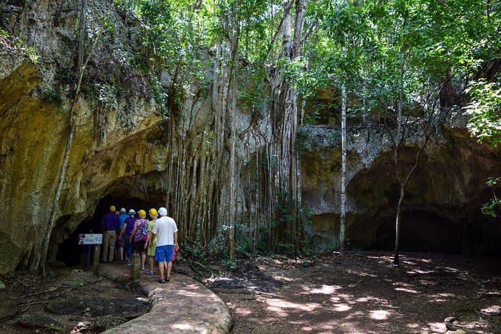 Green Grotto Caves and Martha Brae Bamboo Rafting: Private Day Tour from Montego Bay photo 2