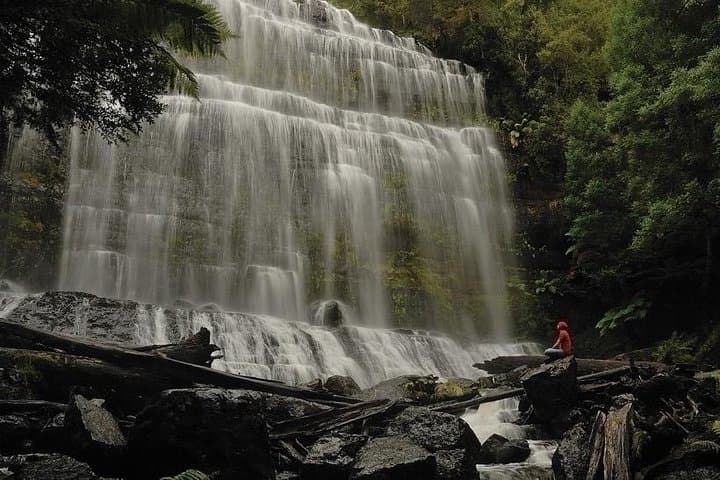 Highlights of Tasmania: 7-Day Small-Group Coastal & Wilderness Tour photo 4