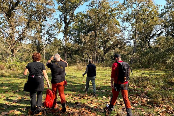 2-Hour Guided Nature Walk in Chitwan National Park (Sauraha) photo 2