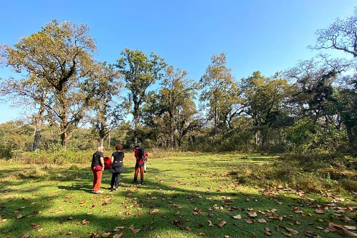 2-Hour Guided Nature Walk in Chitwan National Park (Sauraha) photo 3