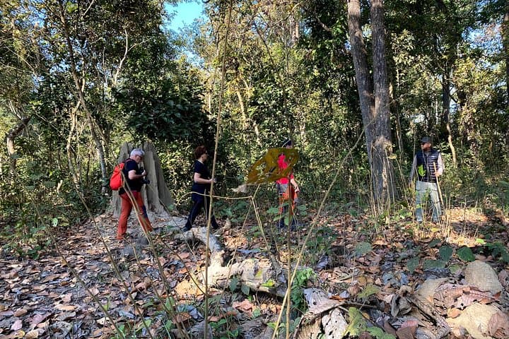 2-Hour Guided Nature Walk in Chitwan National Park (Sauraha) photo 5