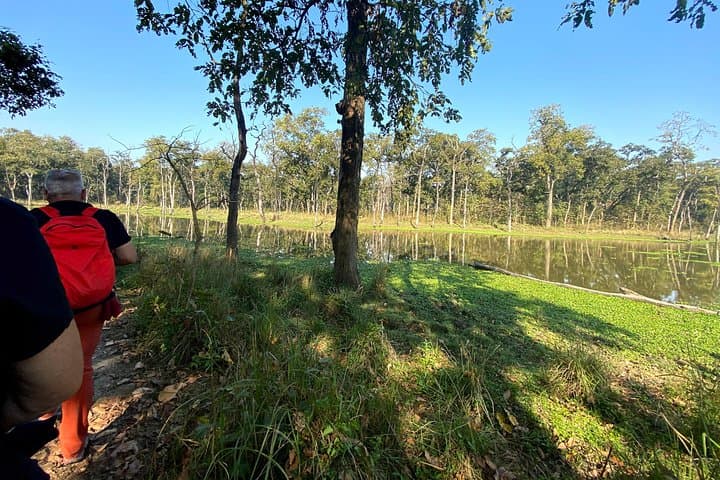 2-Hour Guided Nature Walk in Chitwan National Park (Sauraha)