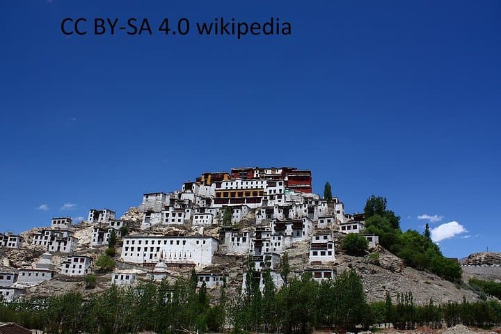 Leh Monastery Half-Day Tour: Thiksey & Hemis Monasteries, Ladakh photo 2