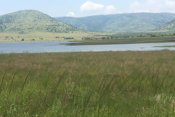 Pilanesberg Safari Day Tour: Big Five Game Drive from Sun City photo 4