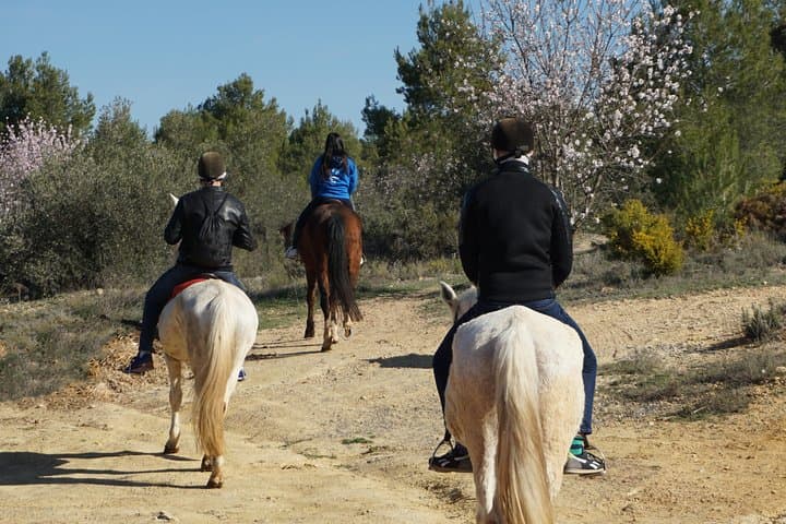 Horseback Riding and Wine Tasting in Utiel-Requena from Valencia photo 5
