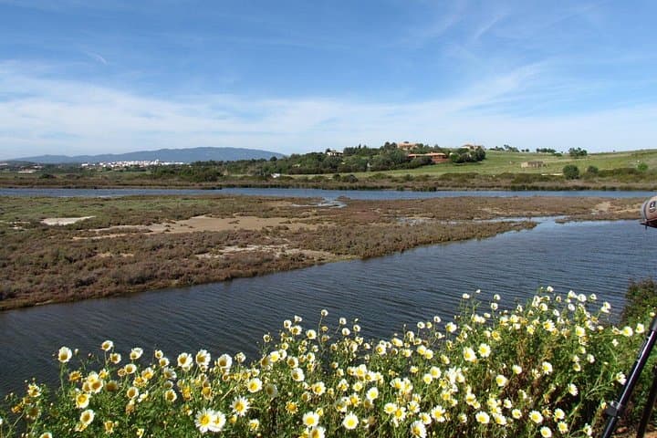 Birdwatching at Ria de Alvor: Guided Wetland Walk in the Algarve photo 2