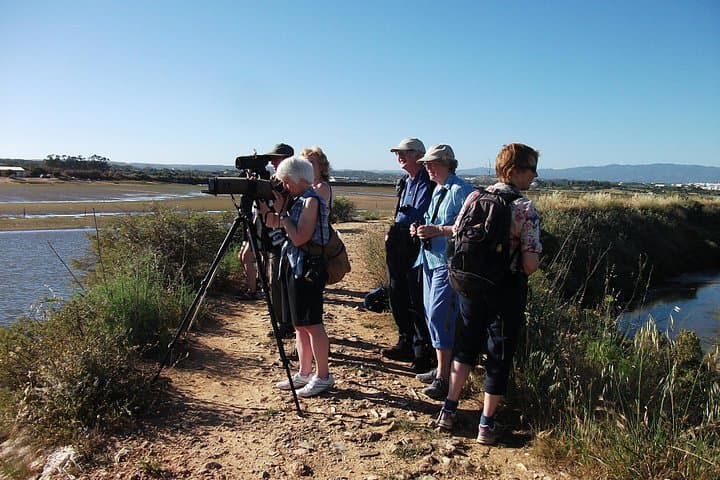 Birdwatching at Ria de Alvor: Guided Wetland Walk in the Algarve