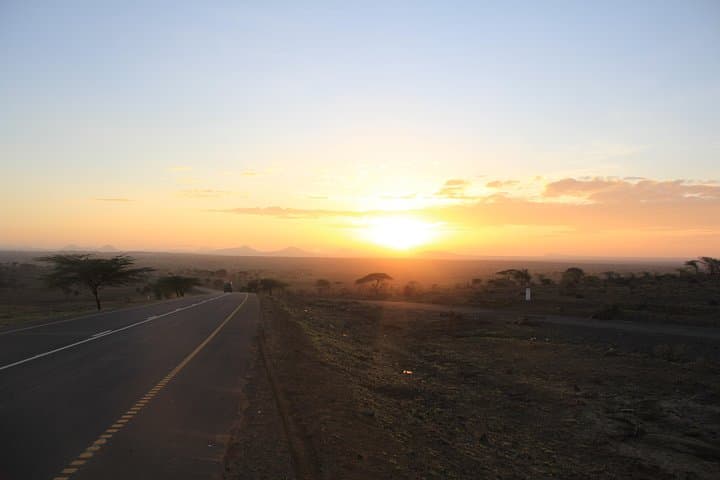 Tarangire National Park Safari: Baobabs, Elephants & Birdwatching