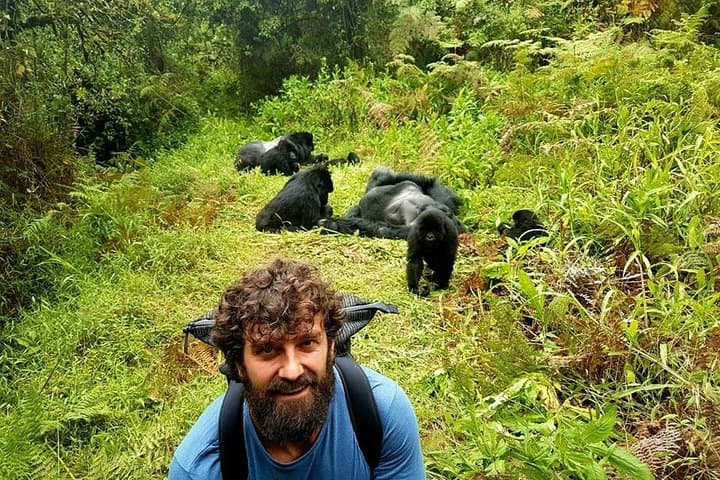 One-Day Gorilla Trek: Kigali to Bwindi or Mgahinga — Day-Trip Guide photo 2