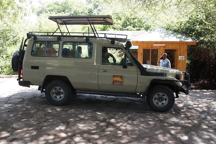 Lake Manyara National Park: Day Safari from Arusha — Tree-Climbing Lions & Rift Valley Views photo 1