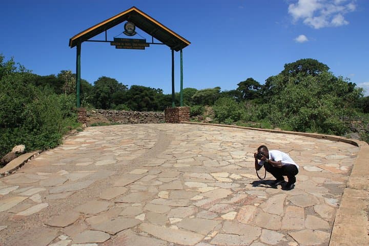 Lake Manyara National Park: Day Safari from Arusha — Tree-Climbing Lions & Rift Valley Views photo 2