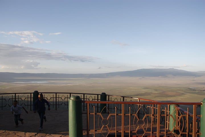 Lake Manyara National Park: Day Safari from Arusha — Tree-Climbing Lions & Rift Valley Views photo 4