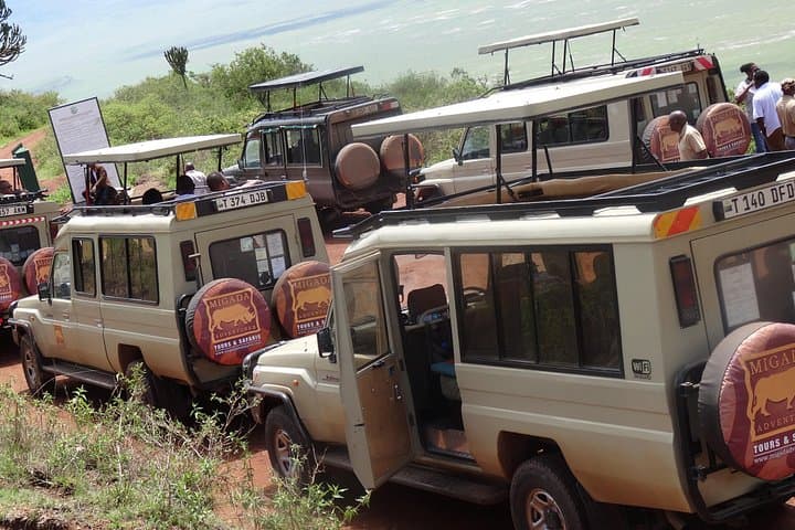 Ngorongoro Crater Day Tour — Full-Day Wildlife Safari from Arusha photo 1