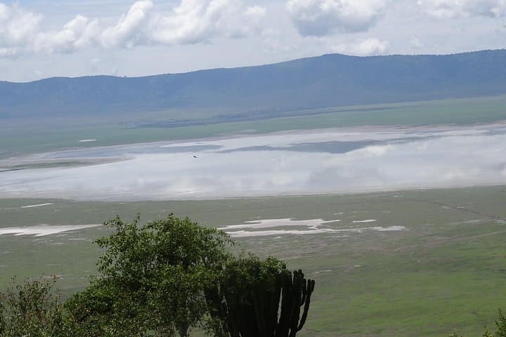 Ngorongoro Crater Day Tour — Full-Day Wildlife Safari from Arusha photo 2