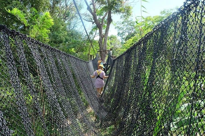 Soar Through Phuket's Rainforest: Phuket Zipline Adventure Tour Guide photo 4