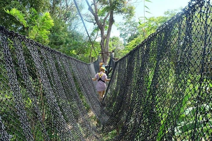 Soar Above Phuket: 32-Platform Rainforest Zipline Adventure photo 2