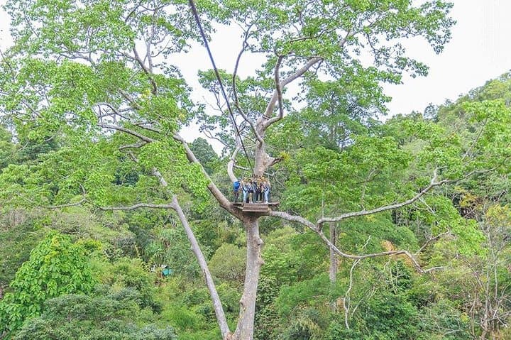 Phuket Rainforest Zipline & ATV Adventure: 18-Platform Canopy Tour with Big Buddha Visit photo 2
