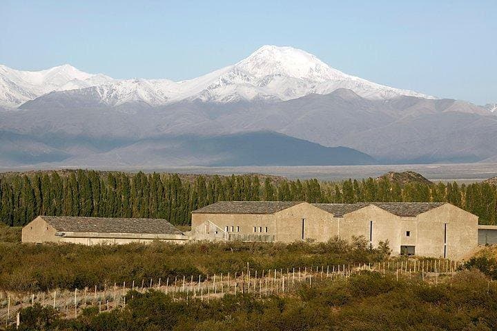 Malbec and Mountains: Private Uco Valley Wine Tour by 4x4 with Gourmet Lunch photo 6