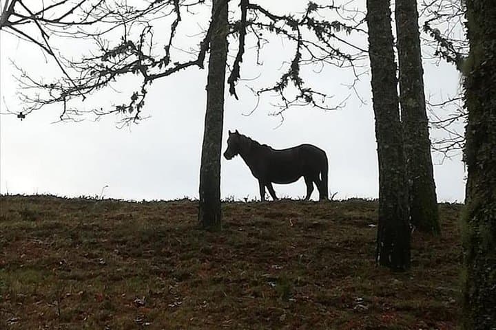 Explore Peneda-Gerês: 2-Day Waterfalls, Lagoons & Village Life from Porto photo 3