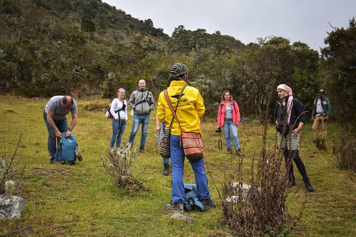 Hike Sumapaz Páramo: Private Day Trek from Bogotá to the World's Largest Paramo photo 2