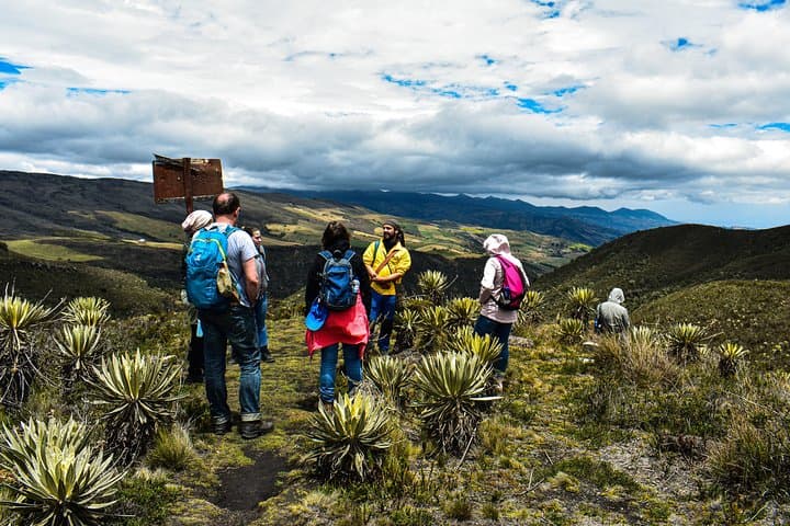 Hike Sumapaz Páramo: Private Day Trek from Bogotá to the World's Largest Paramo photo 3