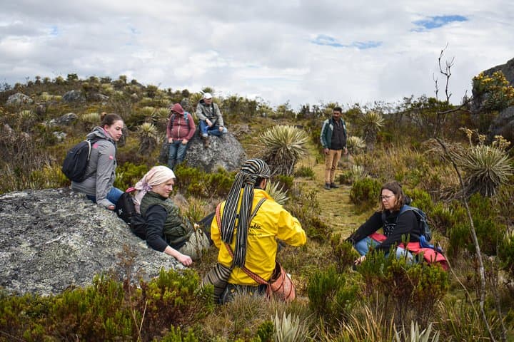 Hike Sumapaz Páramo: Private Day Trek from Bogotá to the World's Largest Paramo photo 4