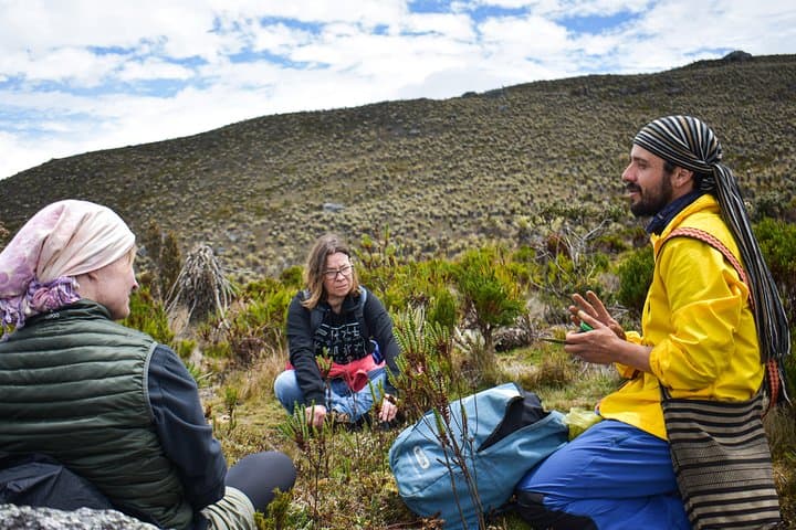 Hike Sumapaz Páramo: Private Day Trek from Bogotá to the World's Largest Paramo photo 5